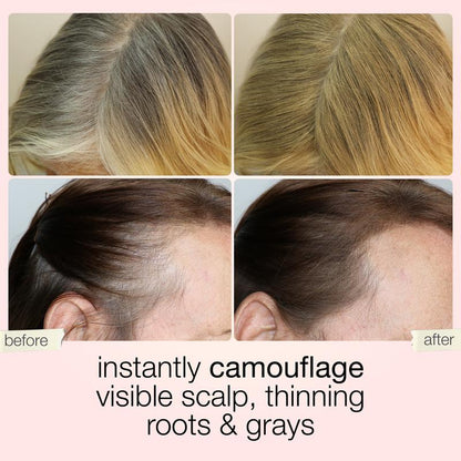 Touch & Go Hair Concealer